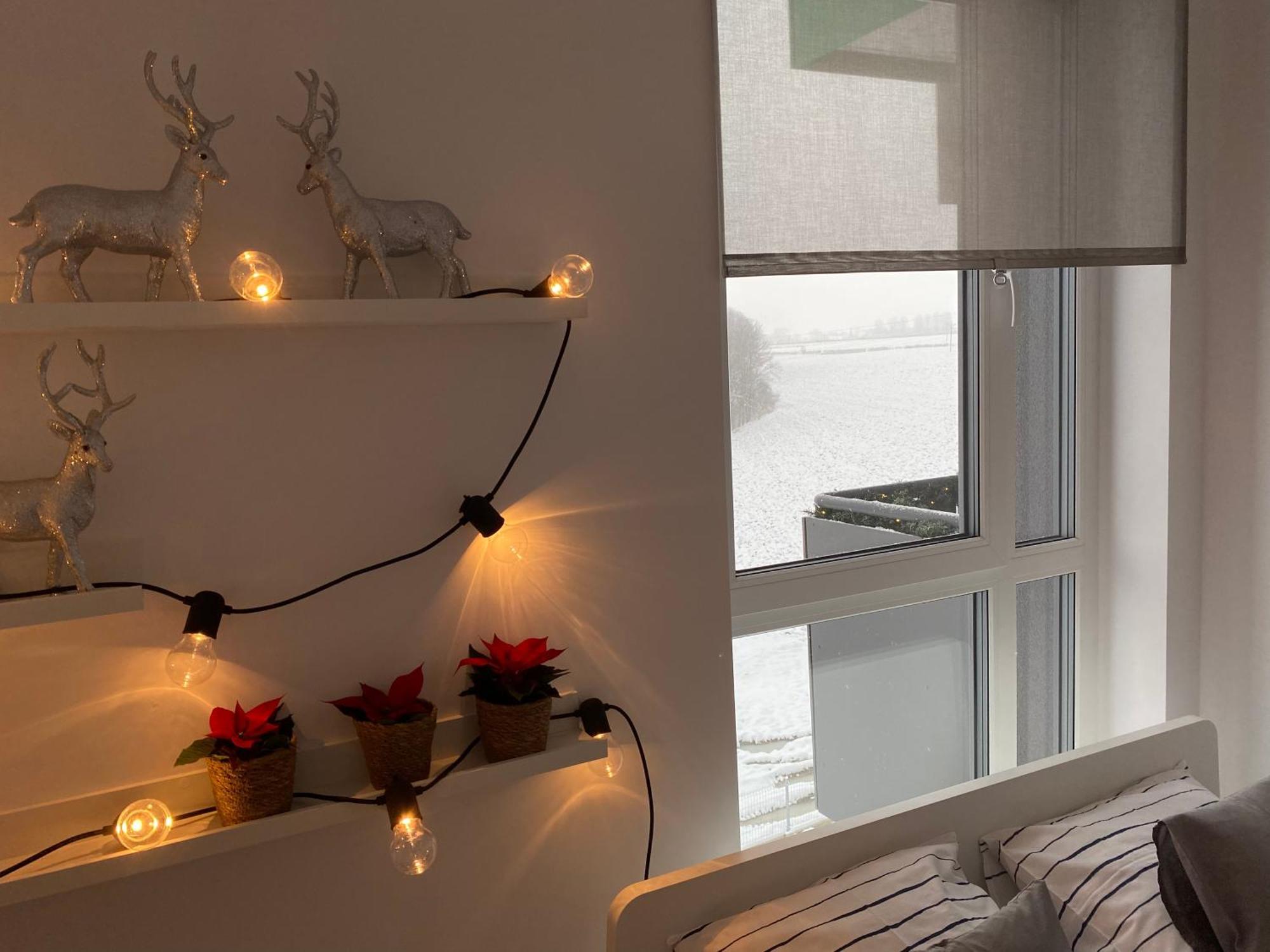 Flow Apartment